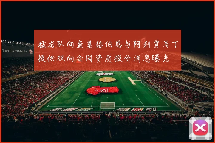 猛龙队向查基赫伯恩与阿利贾马丁提供双向合同资质报价消息曝光